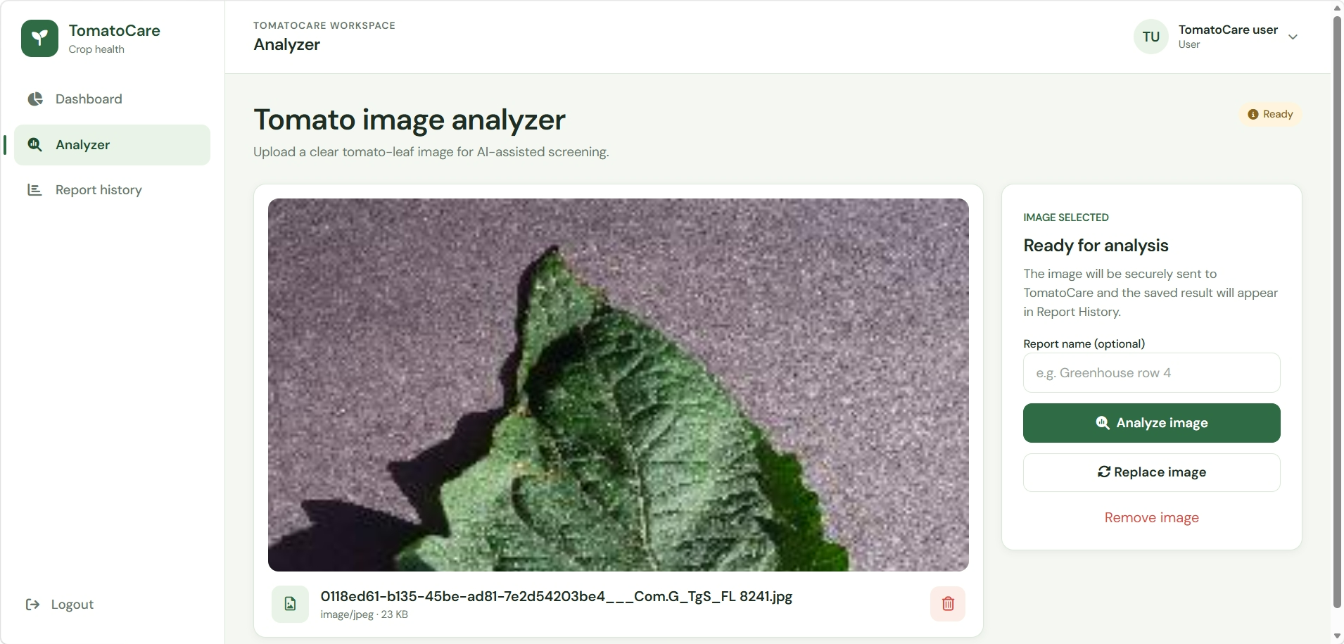 TomatoCare — Leaf analysis workflow